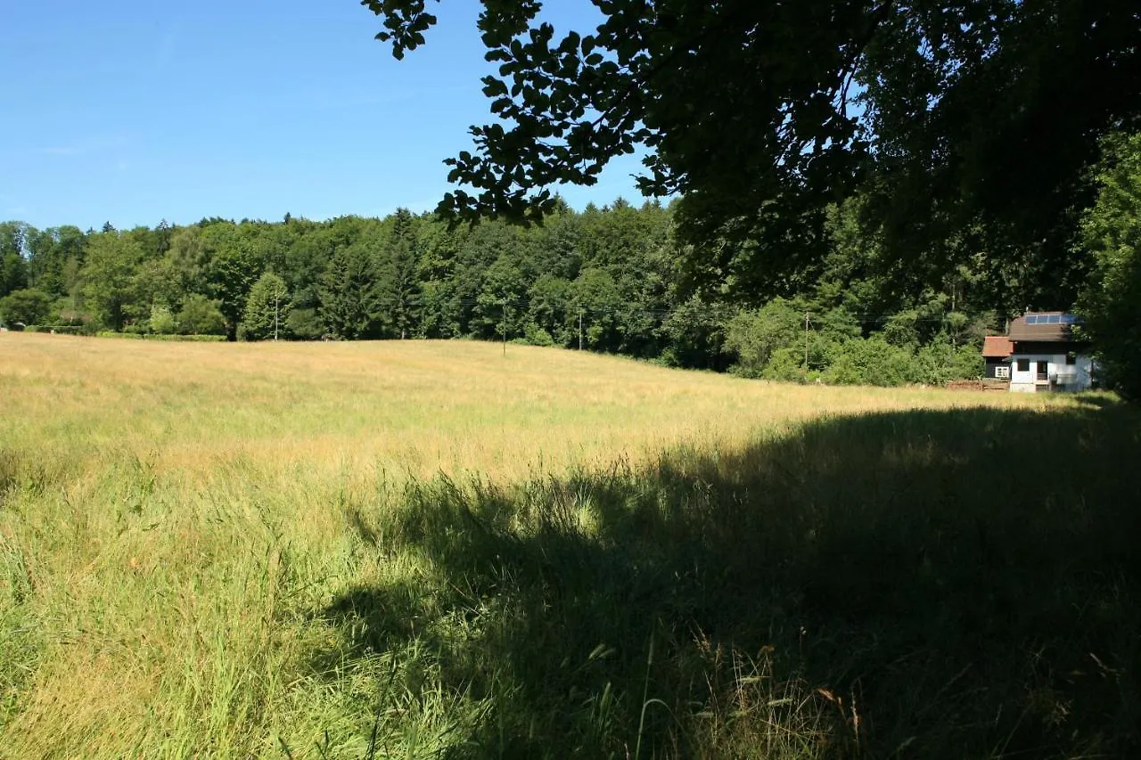 Hausteil In Einer Waldlichtung Im Stadtwald Apartment Zurich